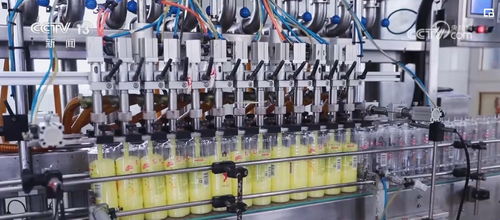 透過數據看變化，雙11購物熱彰顯消費市場活力與電子商務服務提升