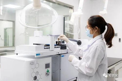 落地母嬰大會 年度金牌服務(wù)商的軟件開發(fā)與優(yōu)質(zhì)服務(wù)之道